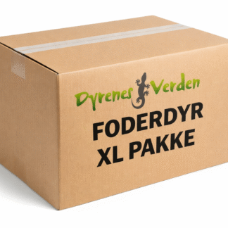 BILLIGE FODERDYR