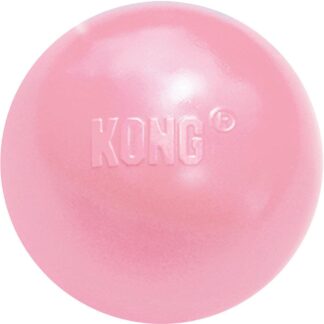 Kong Puppy Ball S