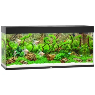 Juwel Akvarium Led Rio 240 Sort