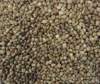 HAMPFRØ 15 KG