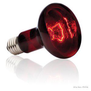 Infrared basking spot 100w