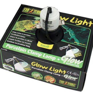 GLOW IN THE DARK LAMPE