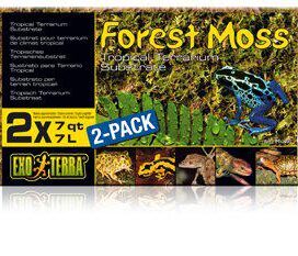 Forrest moss