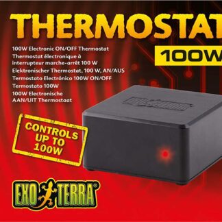 Thermostat 100watt
