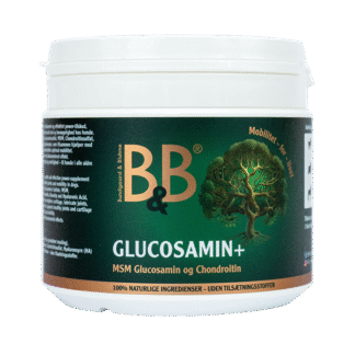 B&B Glucosamin+ 250G