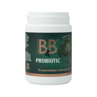 B&B Probiotic 100G