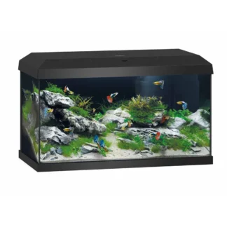 Juwel Akvarium Primo 60 Sort - Akvarier