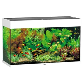 Juwel Akvarium Led Rio 125 Hvid