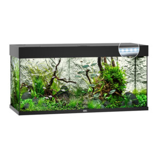 Juwel Akvarium Led Rio 180 Sort